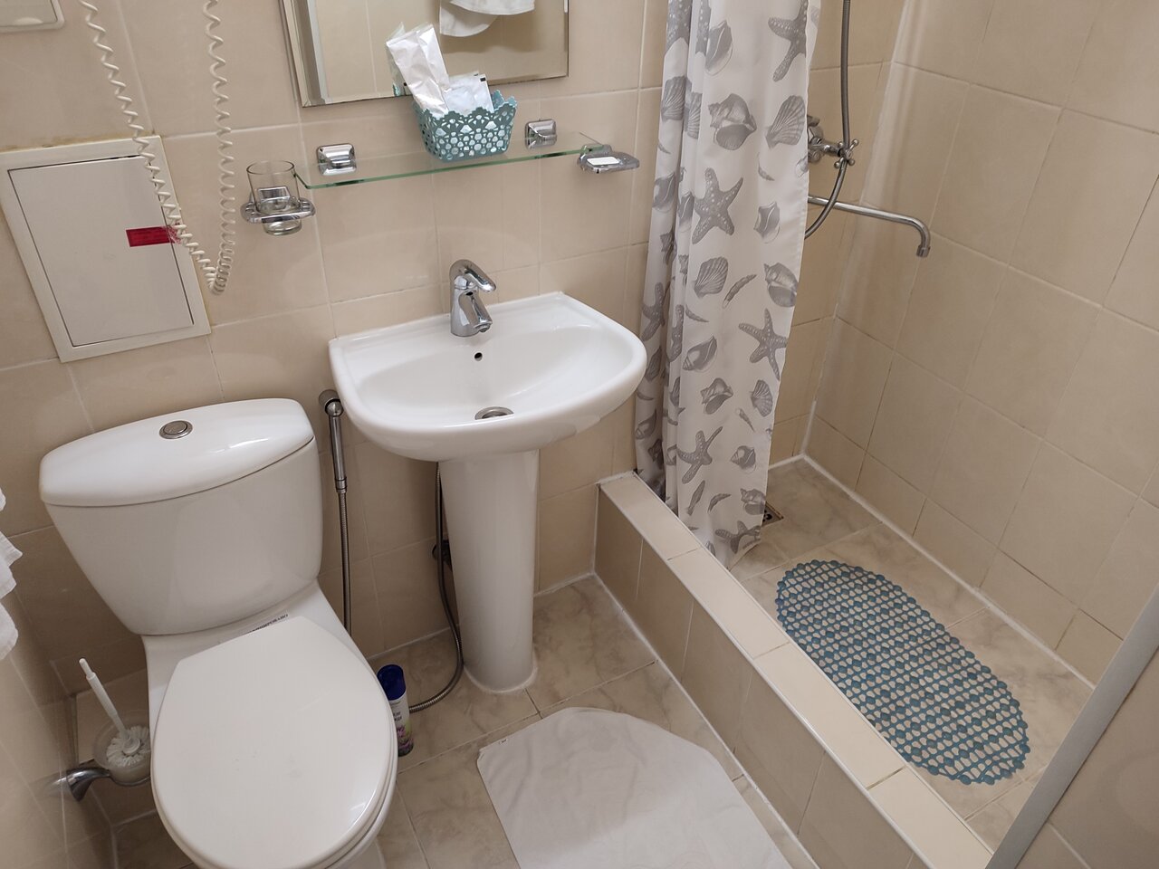 Гостиница Новокузнецкая Новокузнецк-235