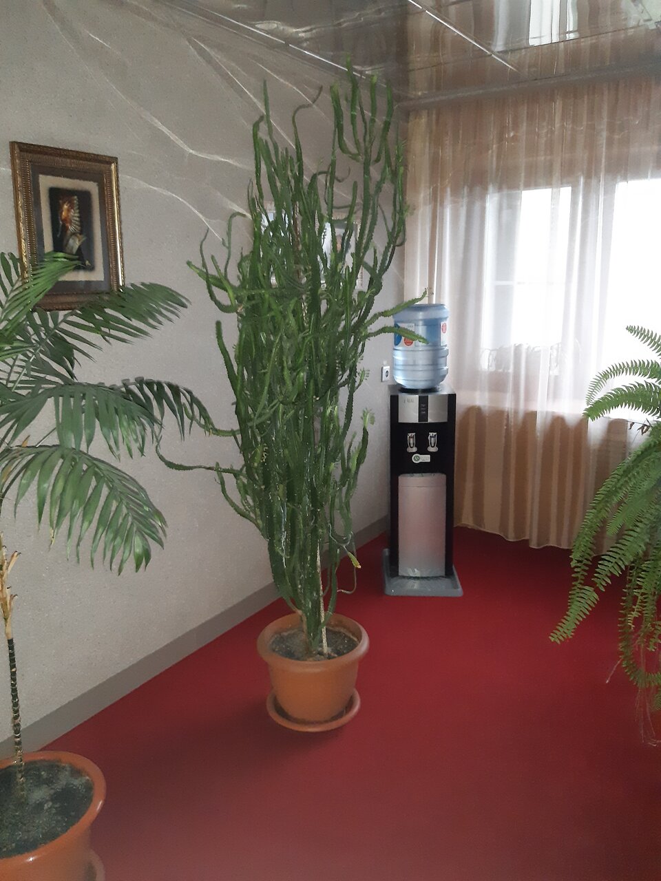 Гостиница Новокузнецкая Новокузнецк-223