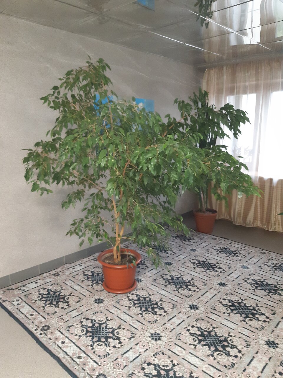 Гостиница Новокузнецкая Новокузнецк-206