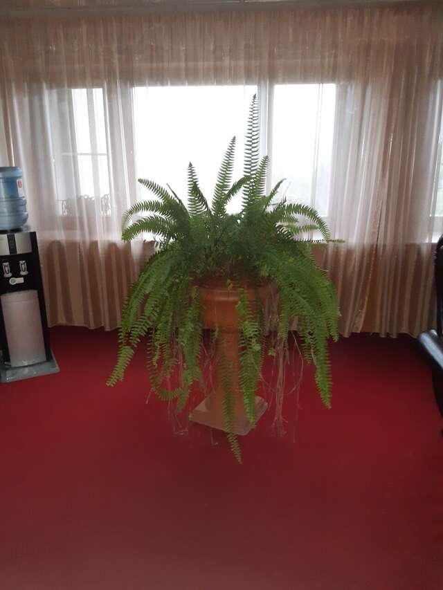 Гостиница Новокузнецкая Новокузнецк-233