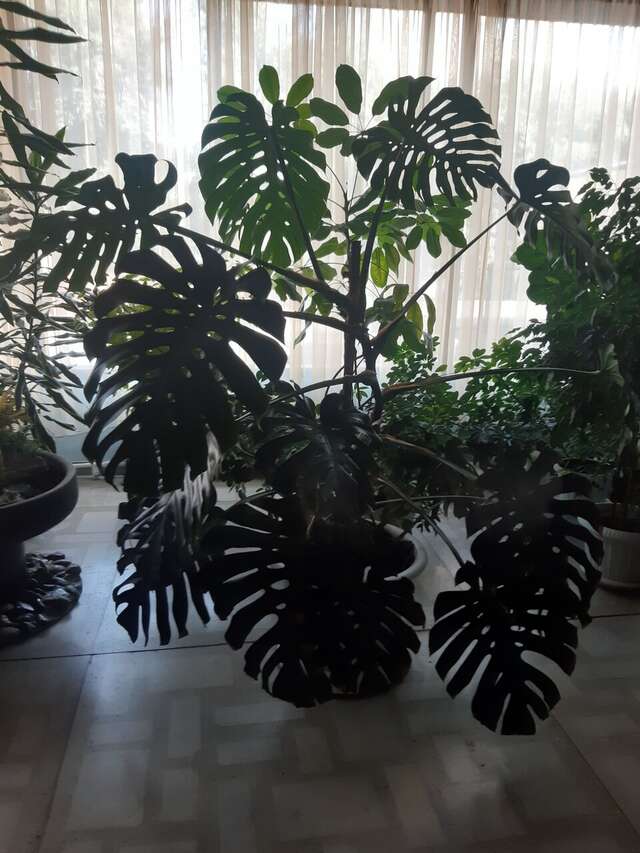 Гостиница Новокузнецкая Новокузнецк-216