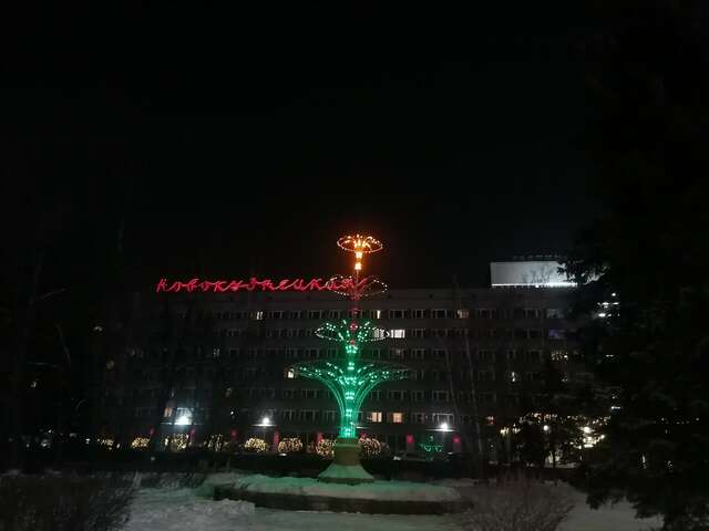 Гостиница Новокузнецкая Новокузнецк-211