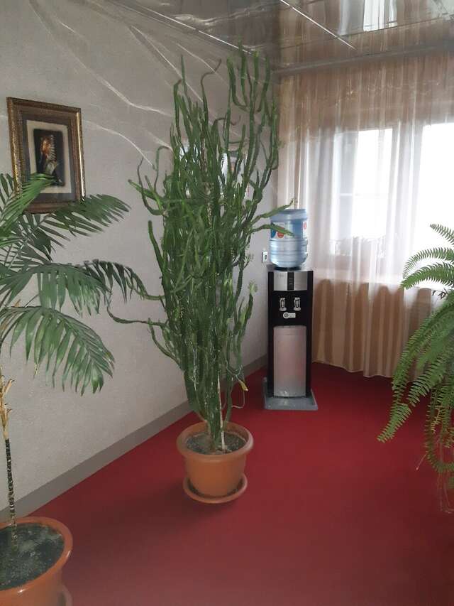 Гостиница Новокузнецкая Новокузнецк-222