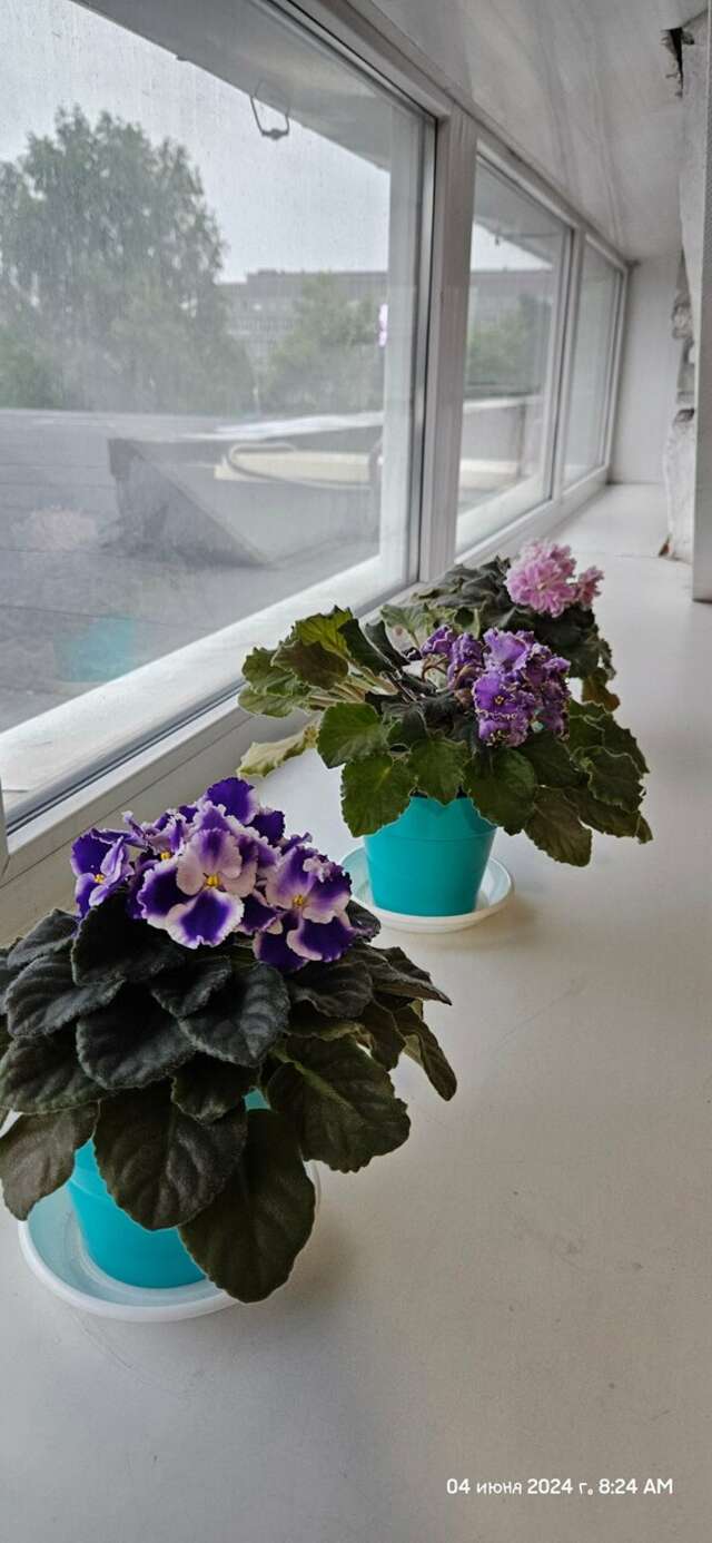 Гостиница Новокузнецкая Новокузнецк-196