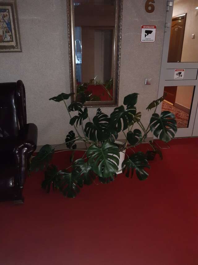 Гостиница Новокузнецкая Новокузнецк-238